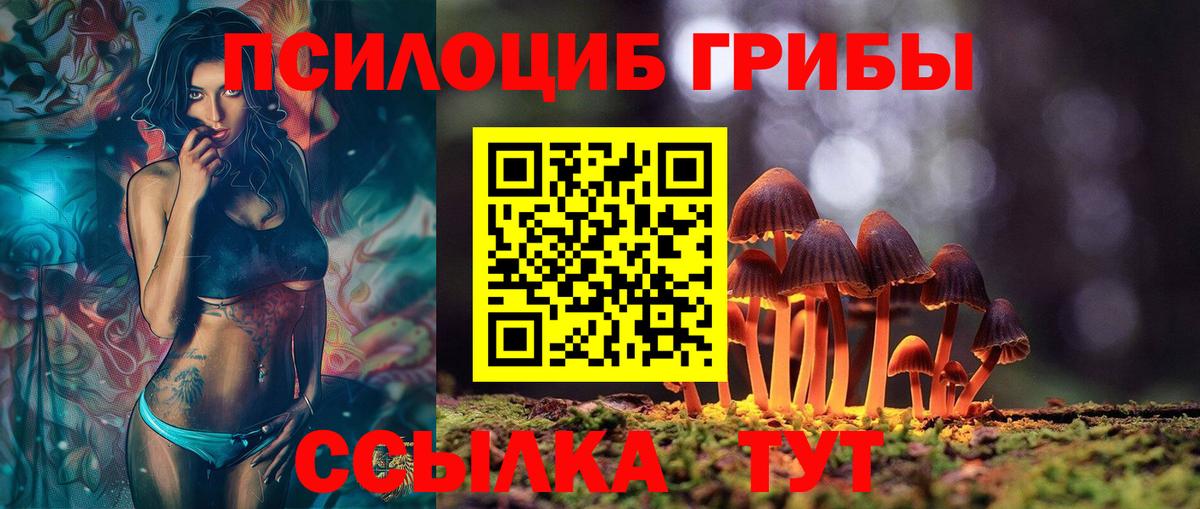 Псилоцибиновые грибы GOLDEN TEACHER Кизилюрт