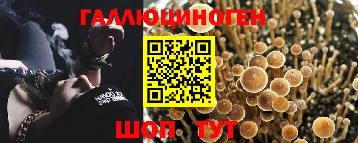Кизилюрт  Галлюциногенные грибы ЛСД  Вход с VPN 